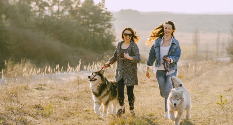 Teenager doing local side hustles like dog walking