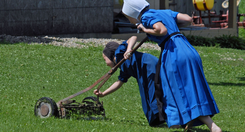 Summer side hustles for college students include lawn care and detailing
